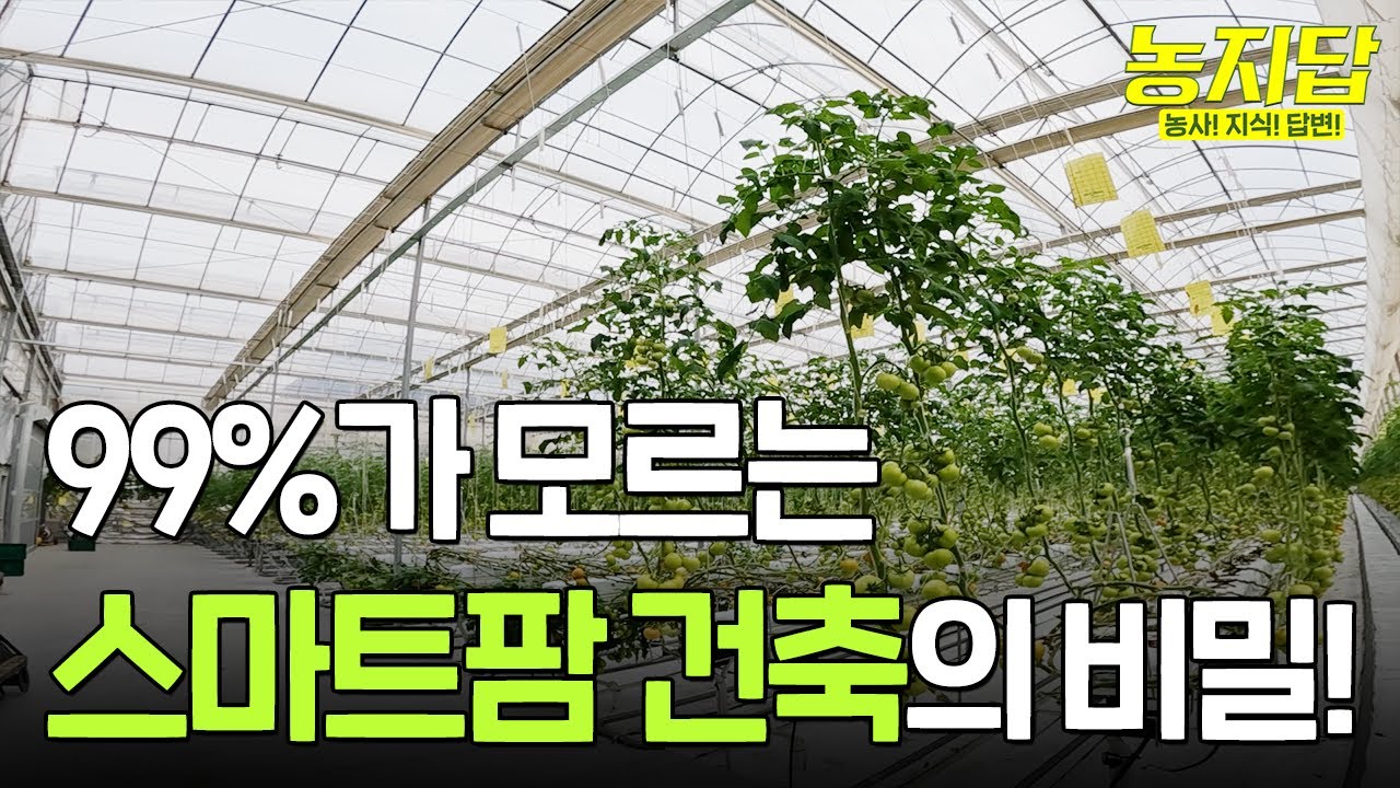 [농지답] 💡스마트팜 건축의 숨은 비밀이 있다!? 온실 하우스 건축 최신 트렌드 대 방출!!!