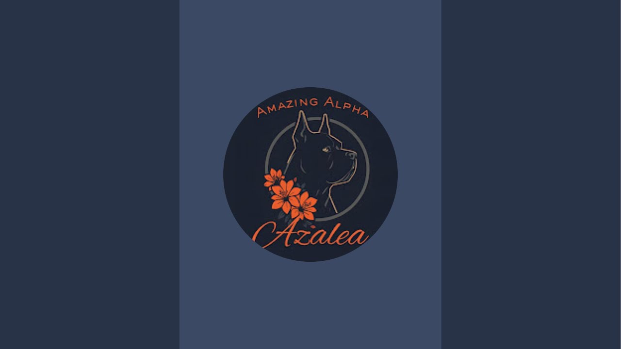 Amazing Alpha Azalea Was LIVE 