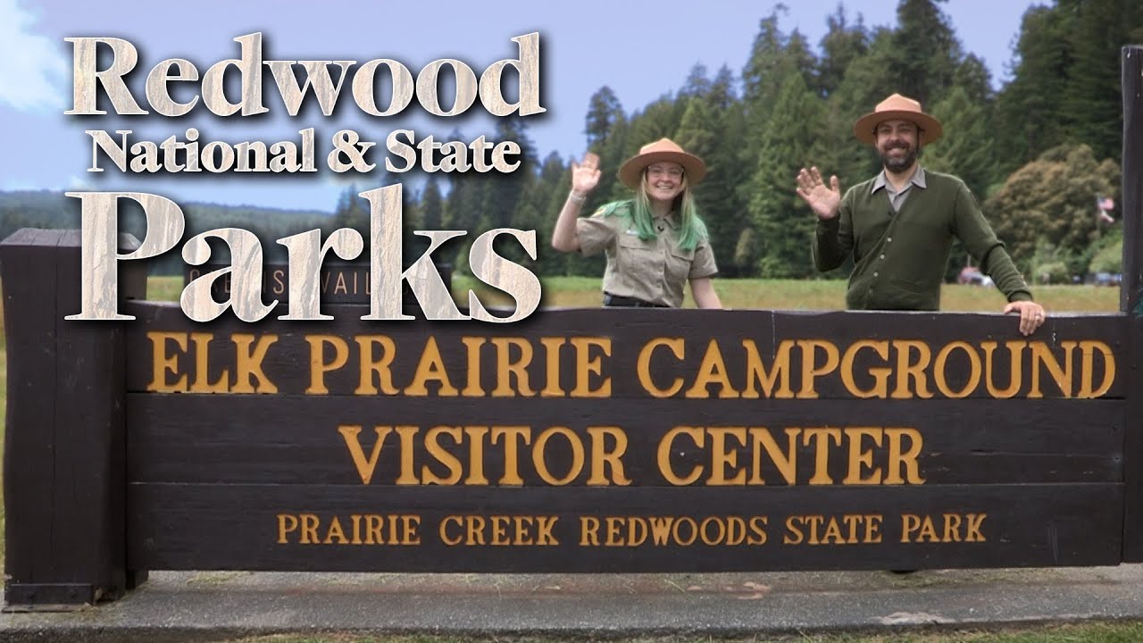 Iconic America: Redwood National and State Parks
