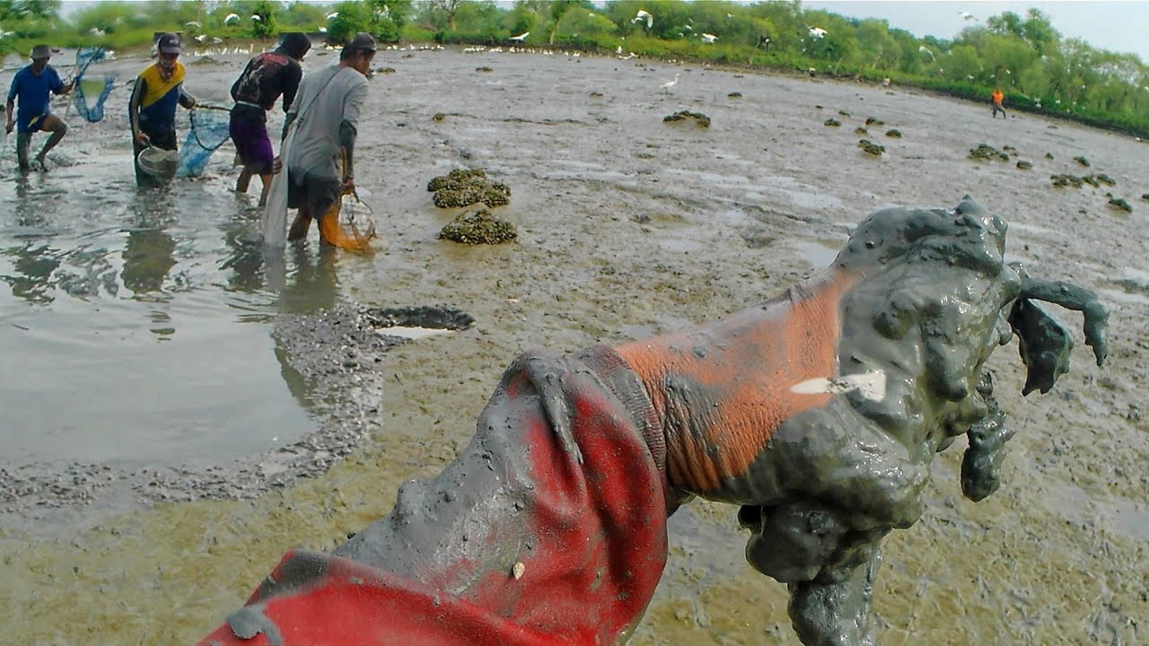 KUBukan CEO YANG Menyamar! Realita Cari Cuan Memanfaatkan Ikan Sisa Panen tuk Kebutuhan Sehari-hari