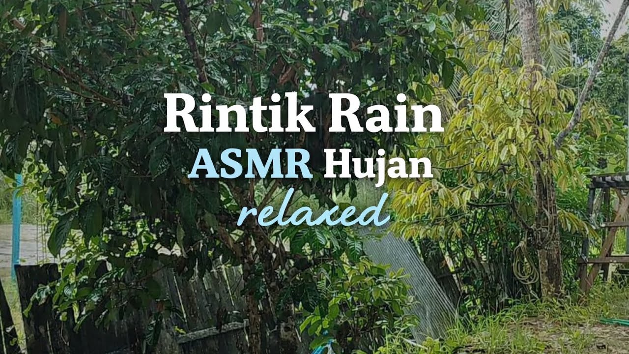 1 Hour ASMR Rain | Rain Sounds for Insomnia, Meditation & Deep Relaxation
