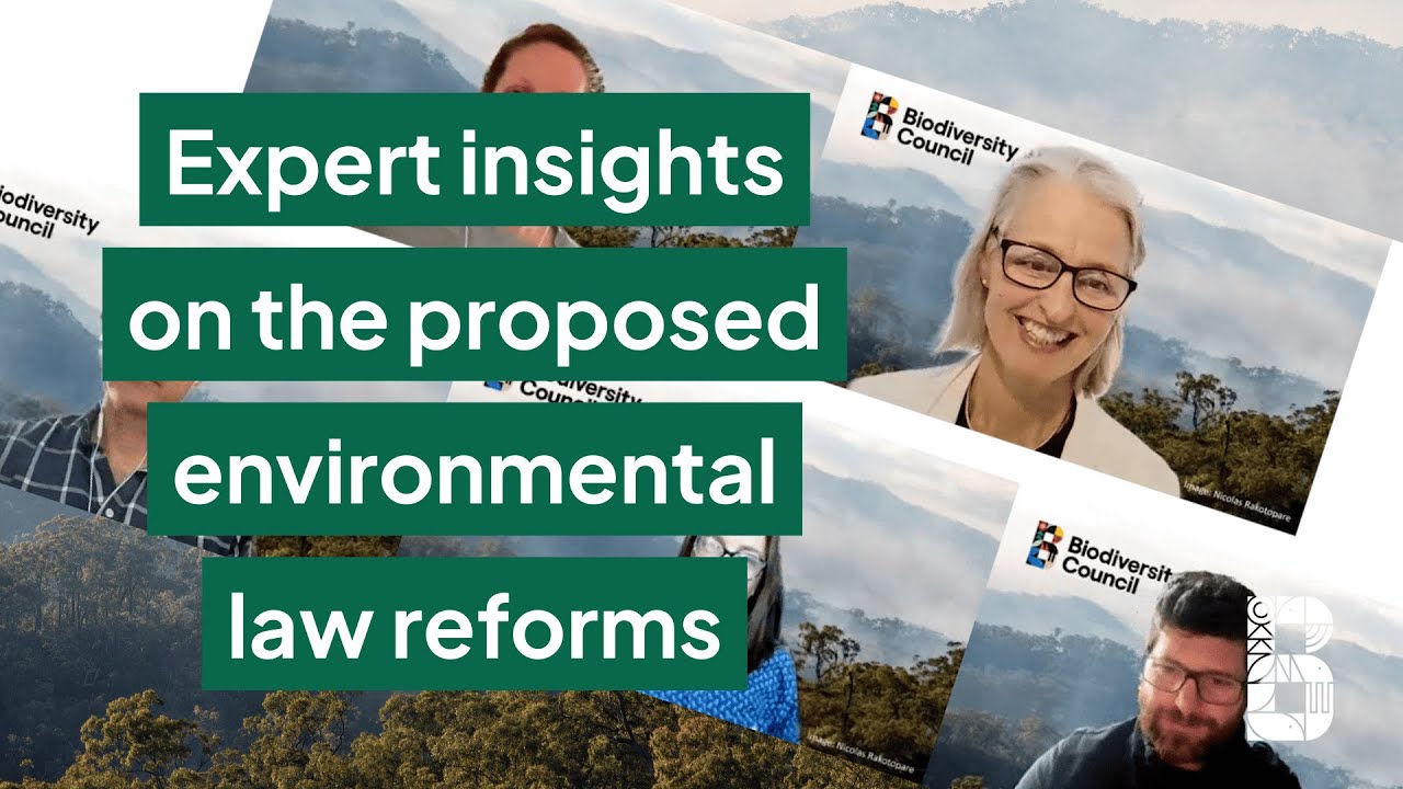 Webinar: getting the EPBC Act right - expert insights on the proposed environmental law reforms