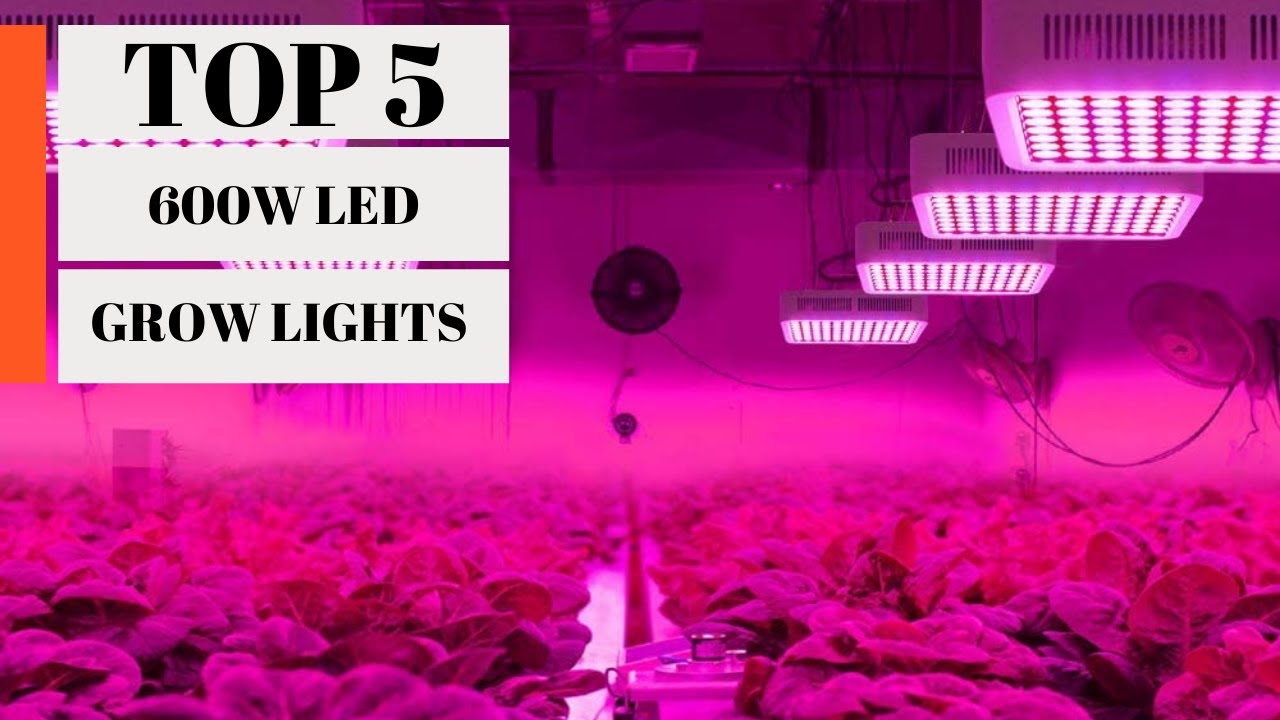 TOP 5: Best 600W LED Grow Lights 2023