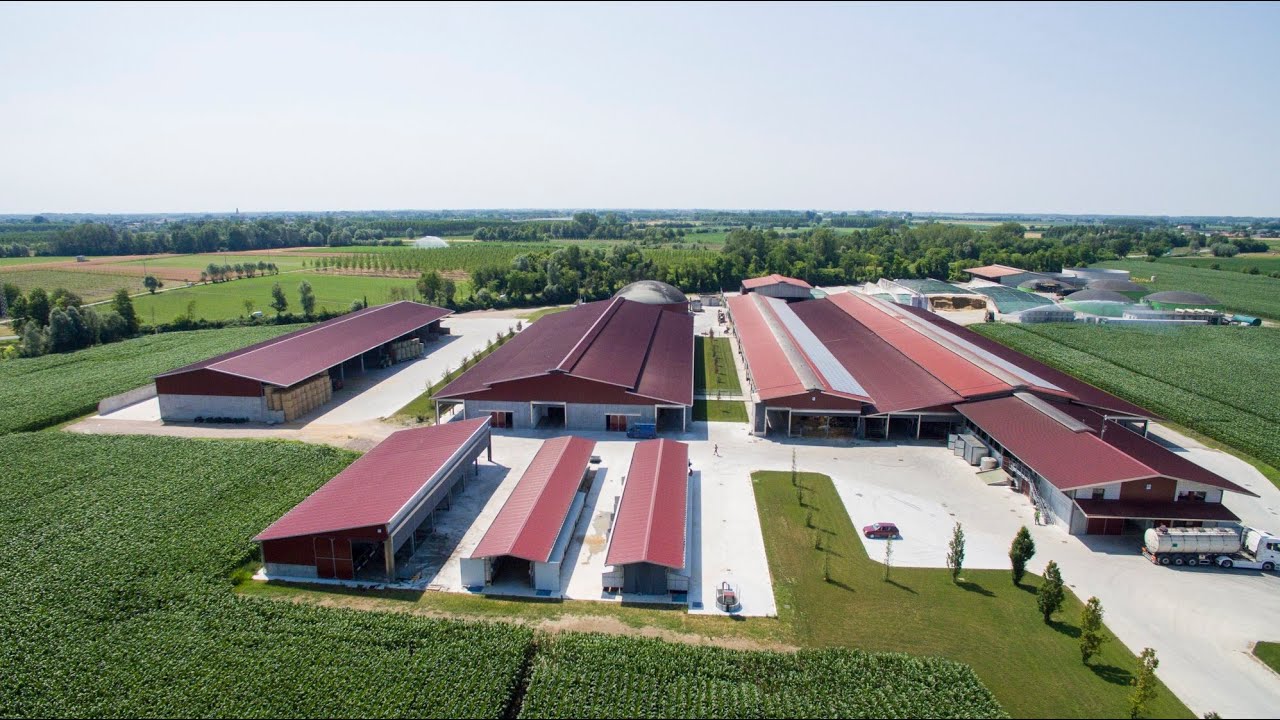 Allevamento bovini e impianto biogas 