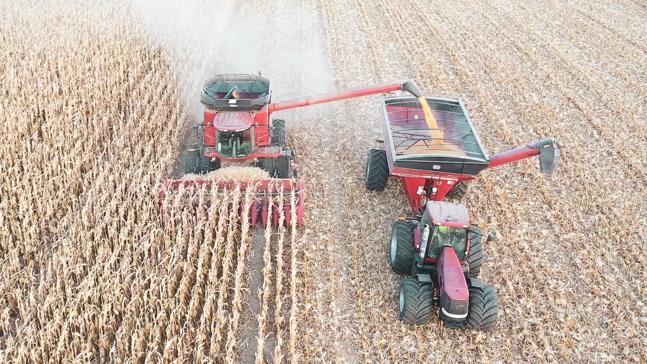 The Trucks Can't Keep Up! South Dakota Corn Harvest 2022 Drone Footage