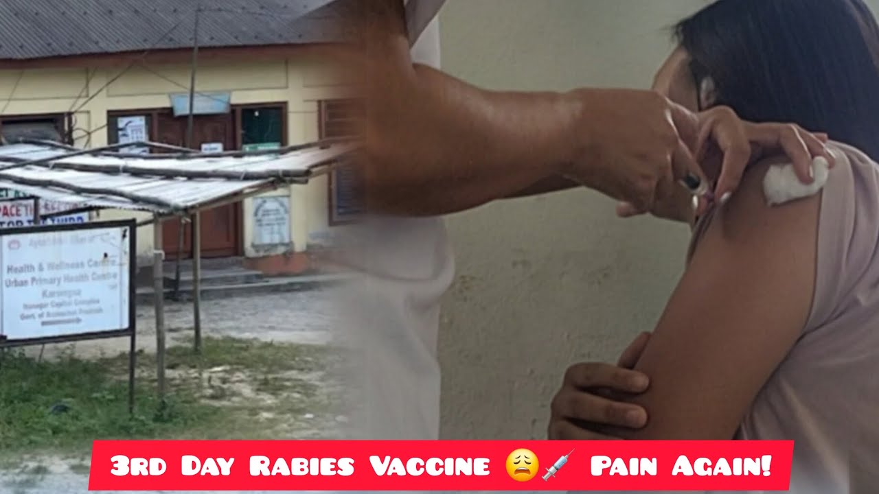 3rd Day Rabies Vaccine 💉 | Full Real Experience After Dog Bite