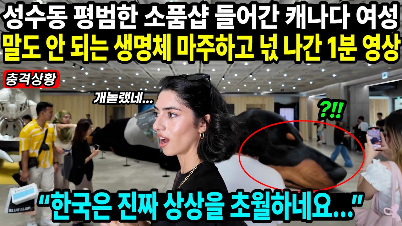 재미로 한국 로또 샀던 캐나다 유튜버 부부 출국 전 당첨 확인 후 은퇴 선언한 이유 // “한국 오면 대박 난나더니 진짜네...”