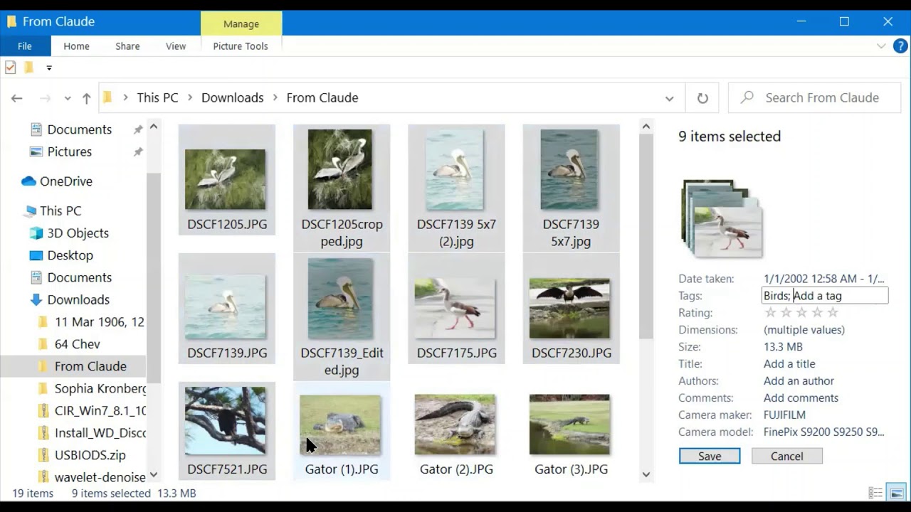 Photo Tagging File Explorer in Windows 10
