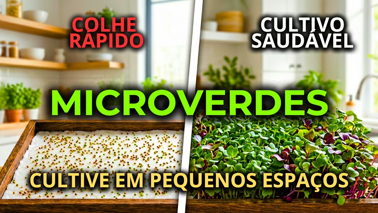 Cultivo de Pequenos Espaços