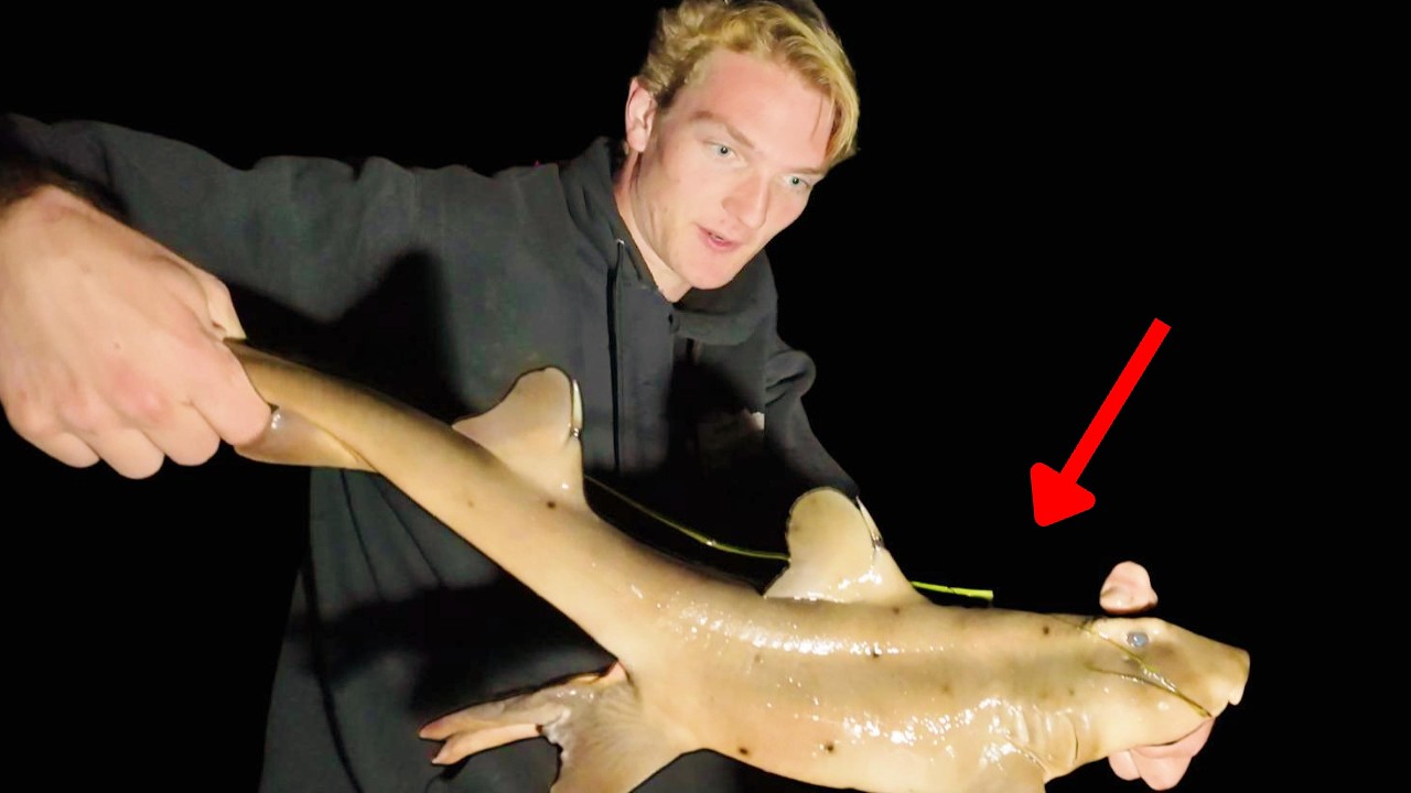 Catching the MOST DANGEROUS Fish in the ENTIRE Bay