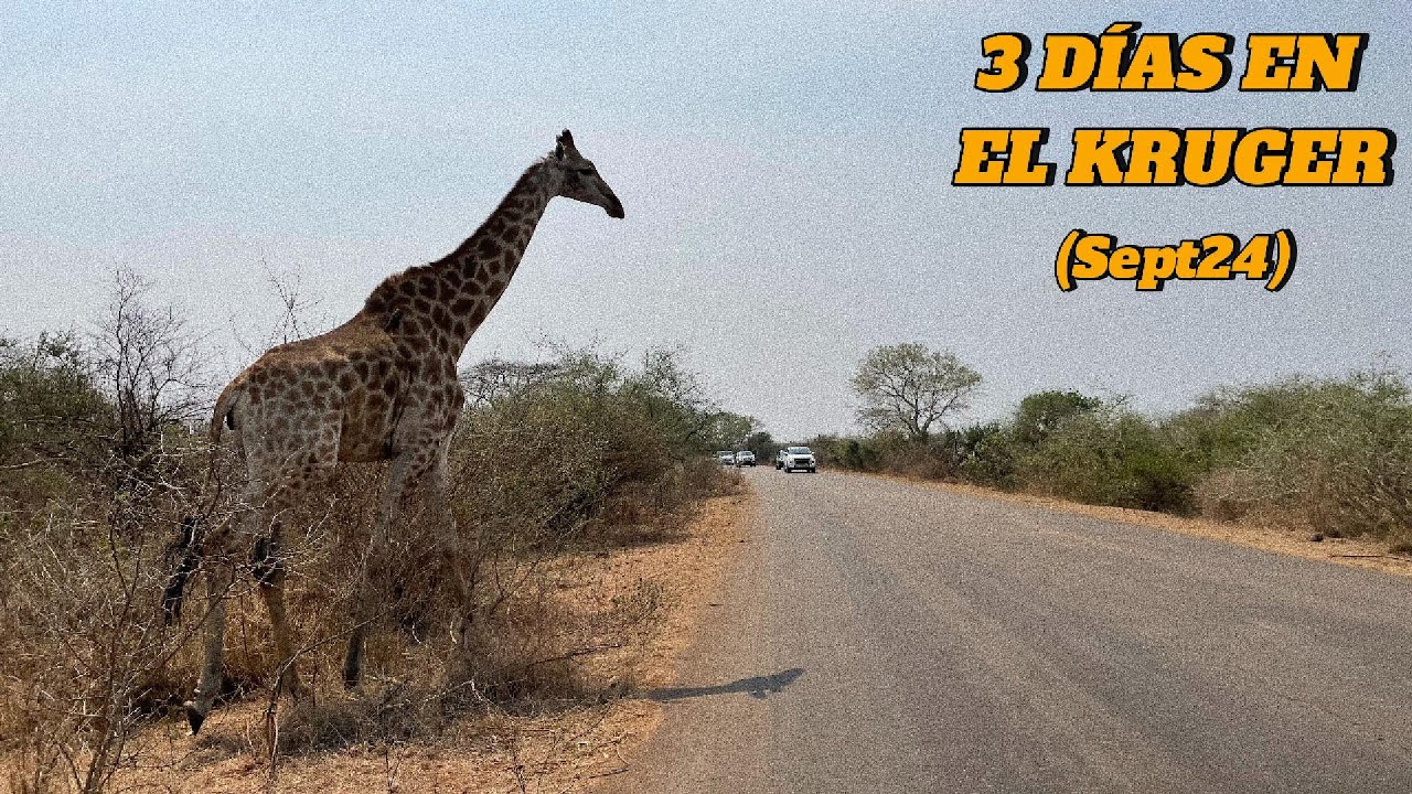#3-3 DÍAS EN EL KRUGER.