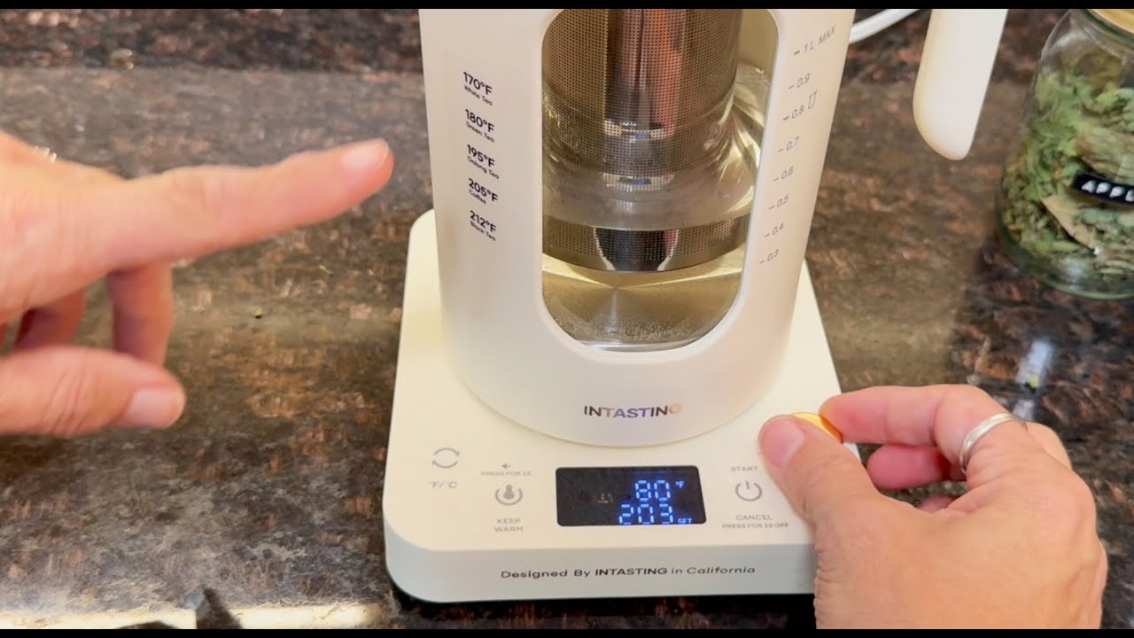 INTASTING Glass Electric Kettle with Tea Infuser | Overview & Demo