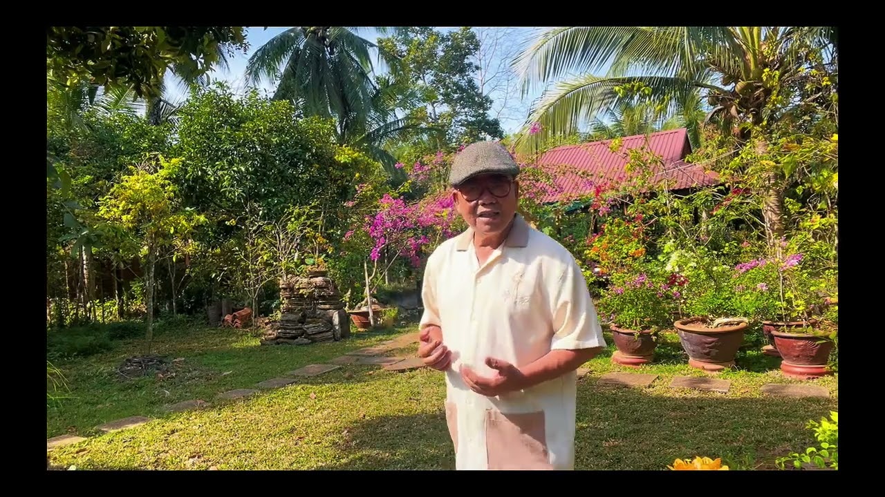 Hoa Xuân Nhạc: Phạm Duy Tb: Toro