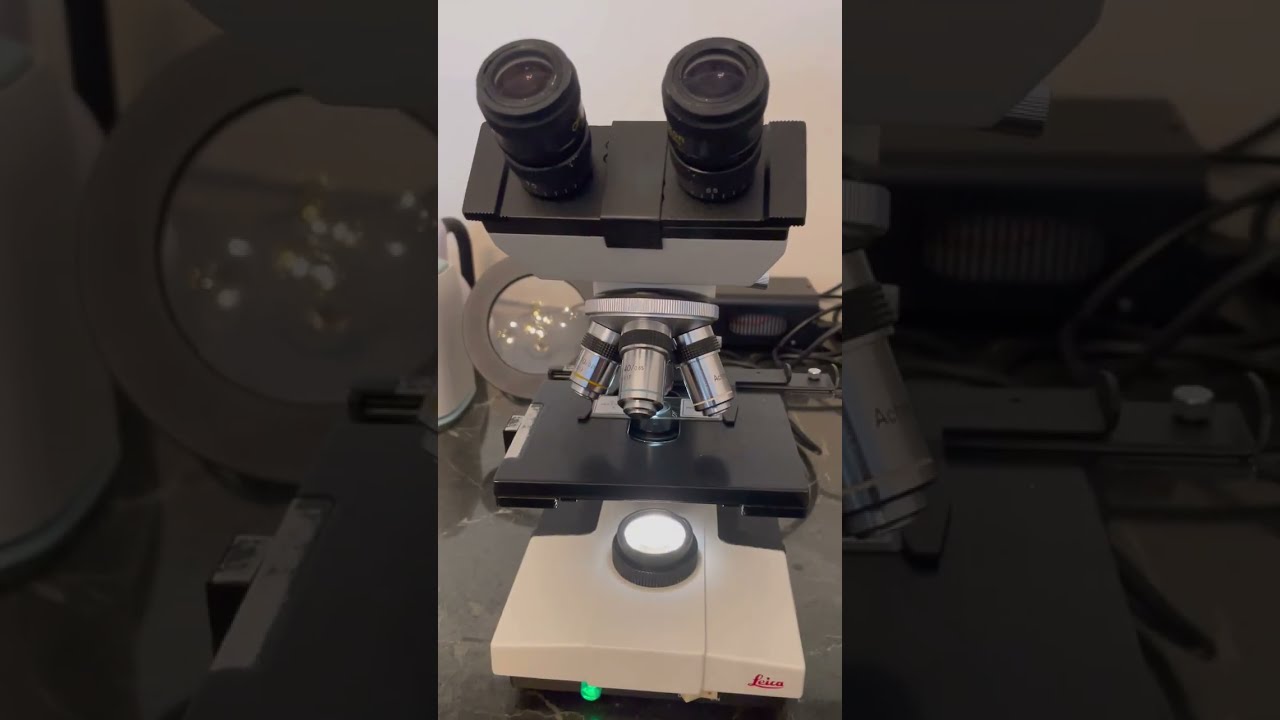 Leica Galen III Mikroskop