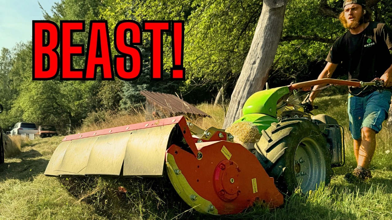 40 000$ machine Rapid VAREA with LAWN mulcher HUMUS VS 3500m2 overgrown land | Episode#101