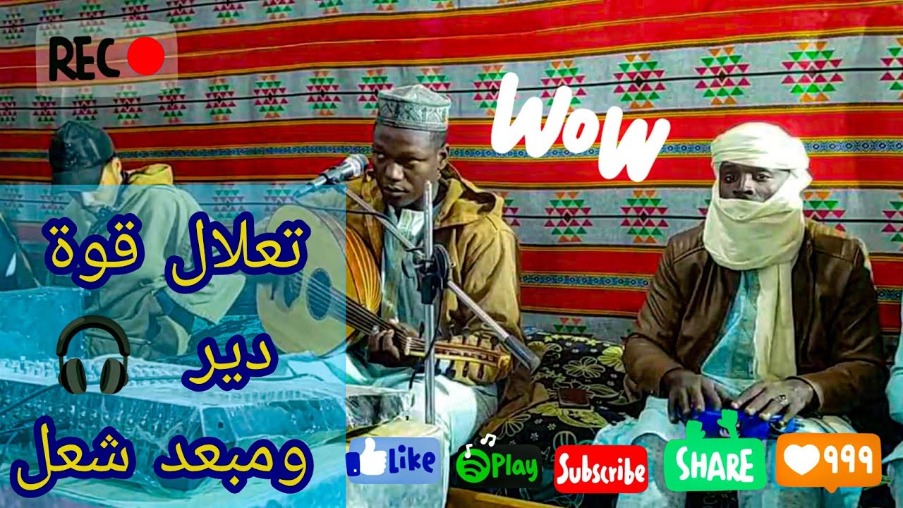 11 دقيقة من الهدوء تحت اشراف الفنان عماد الدين قناوة 🙃🎻🌴