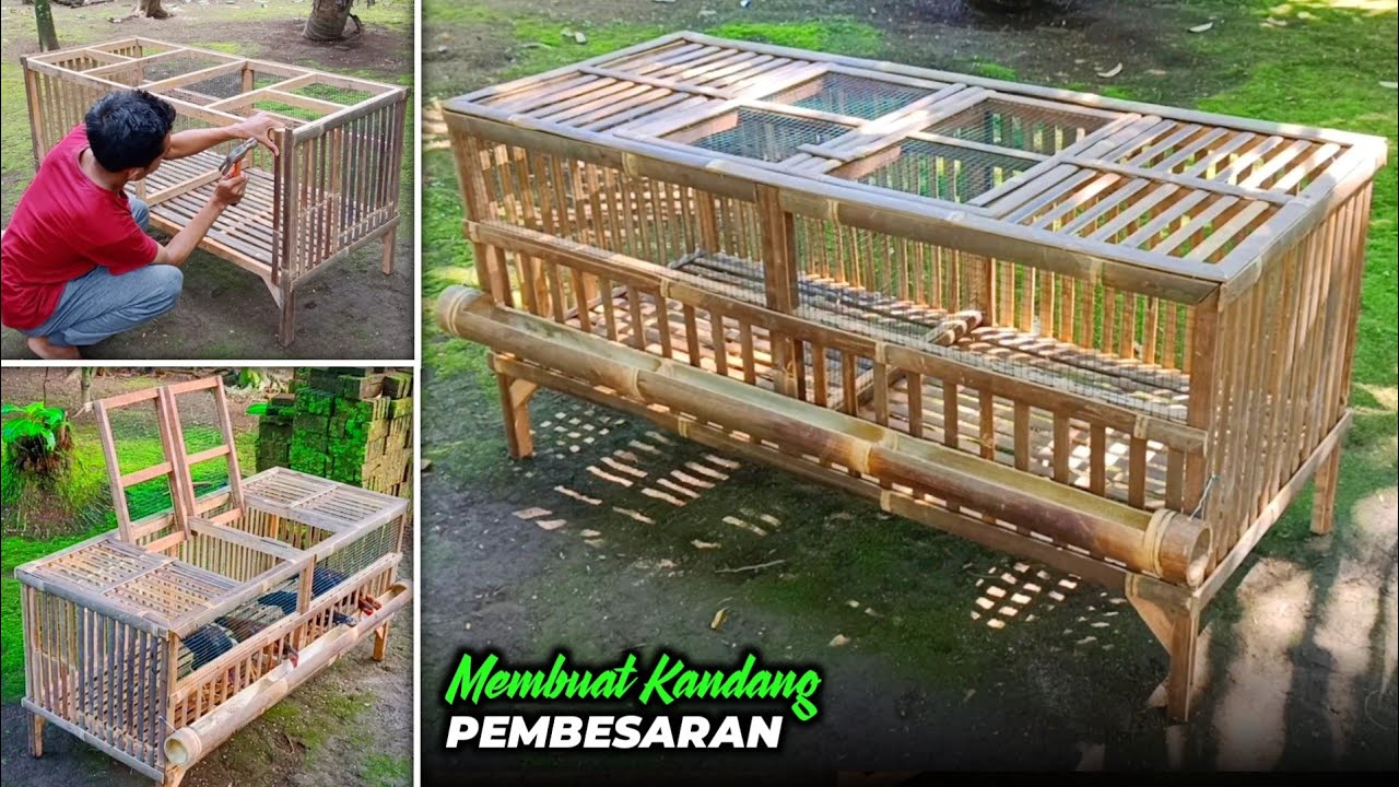 Membuat kandang ayam pembesaran sederhana | BAMBOO CHICKEN COOP