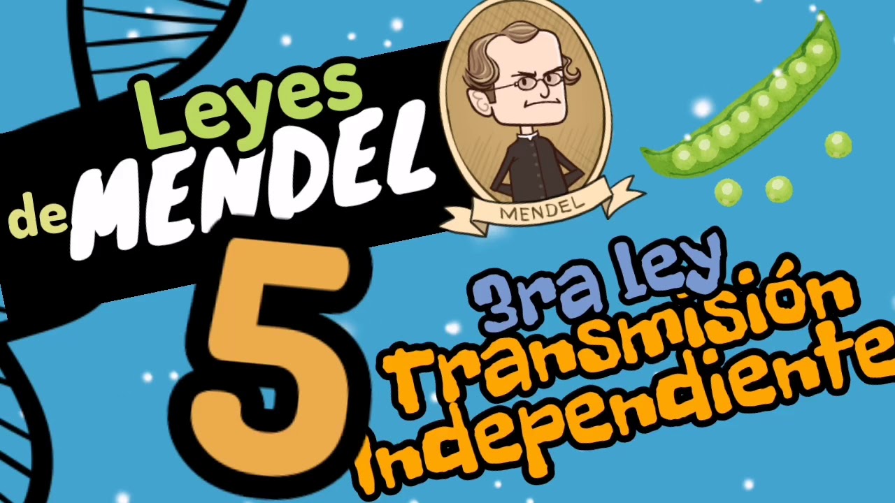 🌱 LEY DE LA TRANSMISIÓN INDEPENDIENTE [las 3 leyes de Mendel] Guía de biología UNAM-IPN