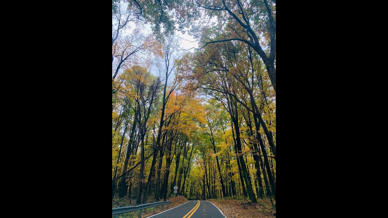 Autumn in usa /West Virginia