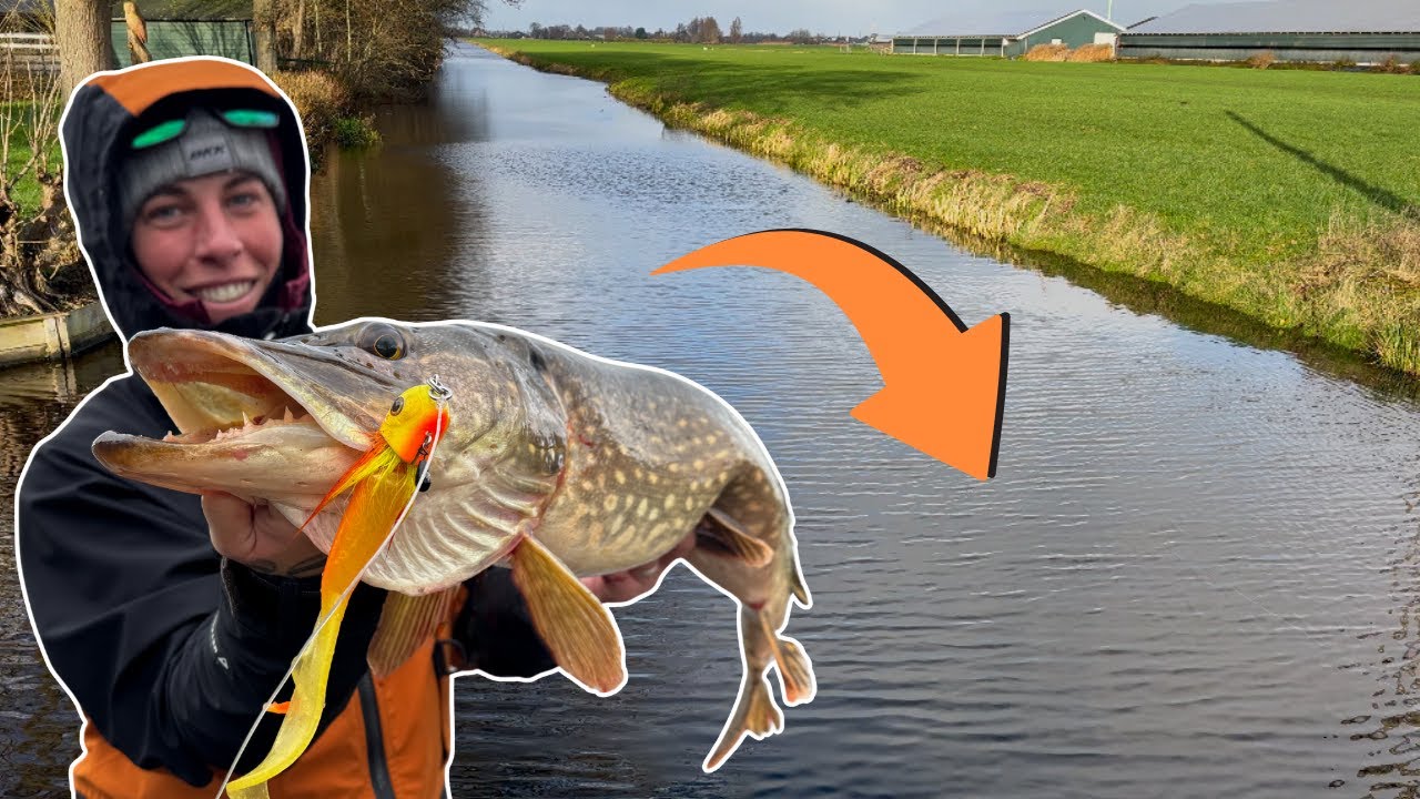 DIKKE SNOEKEN IN DE POLDER 🐷 #9