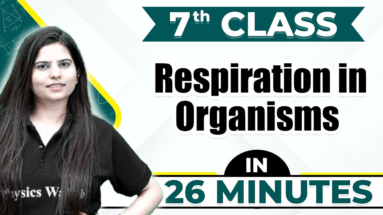 Respiration in Organisms in One Shot | Cheat Sheet For Class 7th