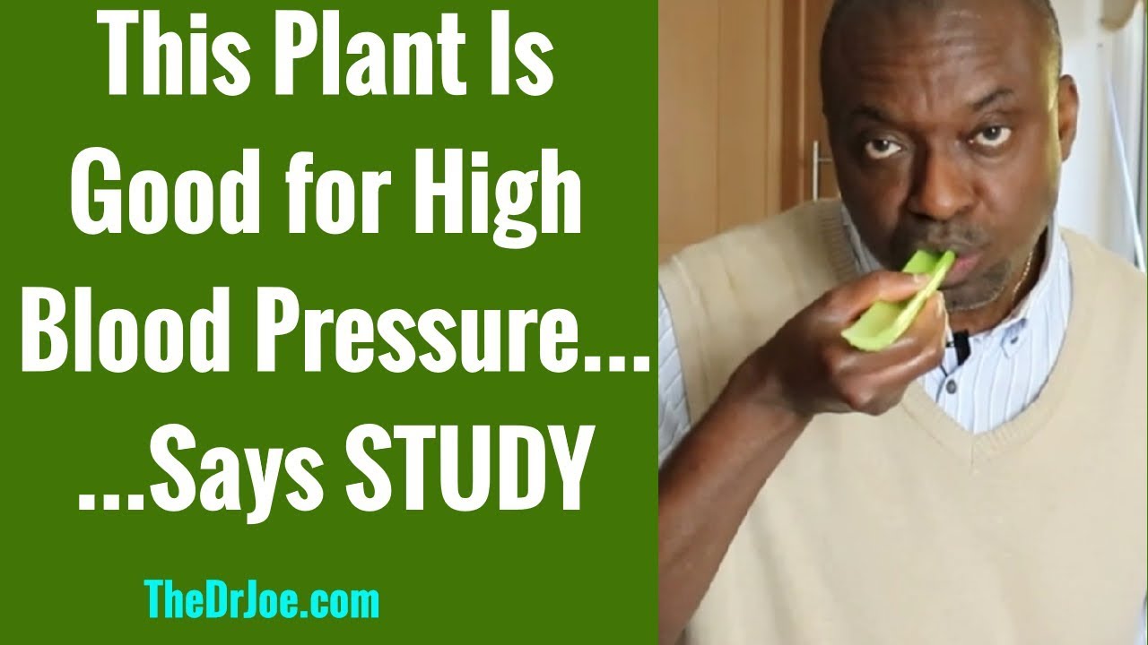 Is Celery Good For High Blood Pressure (Celery Juice for Hugh Blood Pressure?)
