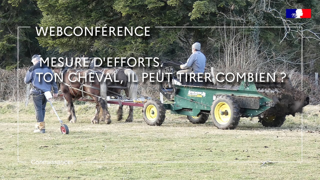 Mesure d’efforts. Ton cheval, il peut tirer combien ? - Deny Fady