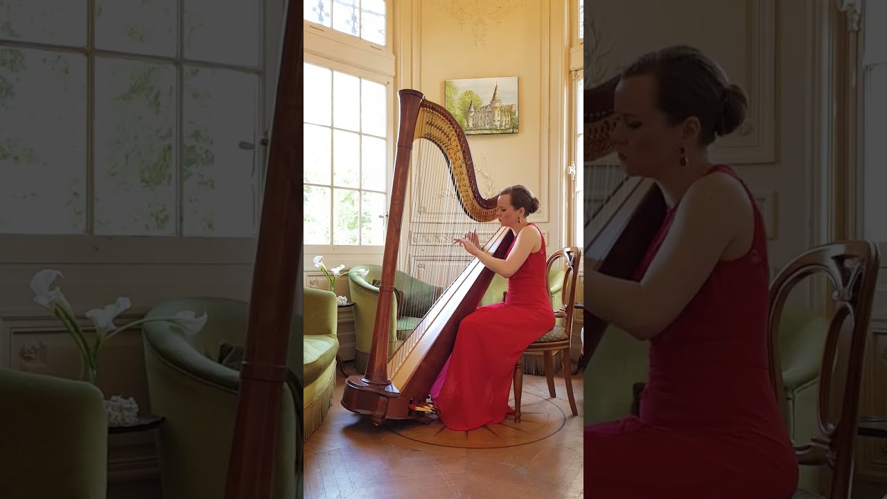 Hallelujah - Leonard Cohen | Theme and Variations, harp
