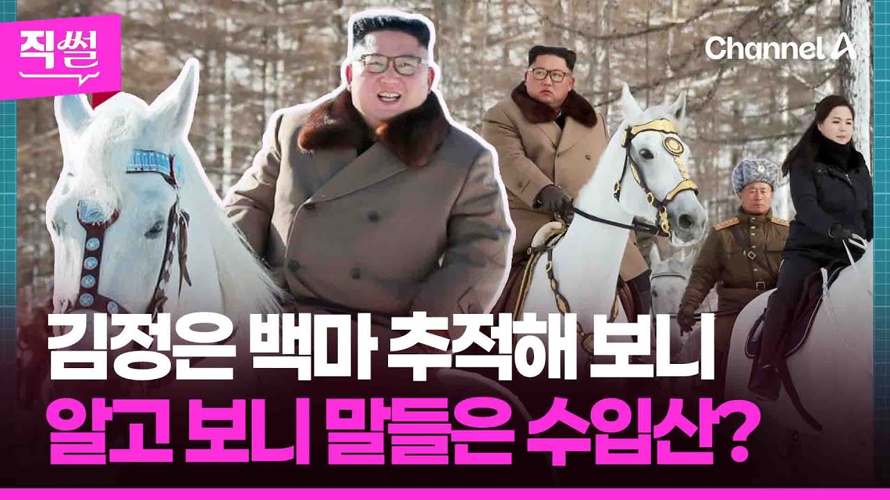 김정은 백마 추적해 보니🦓🤔…알고 보니📌 말들은 수입산? 👀 [직썰]