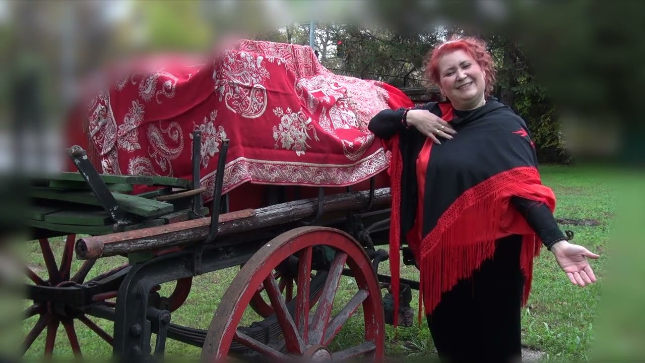 Smidéliusz Éva  Füstbe ment terv
