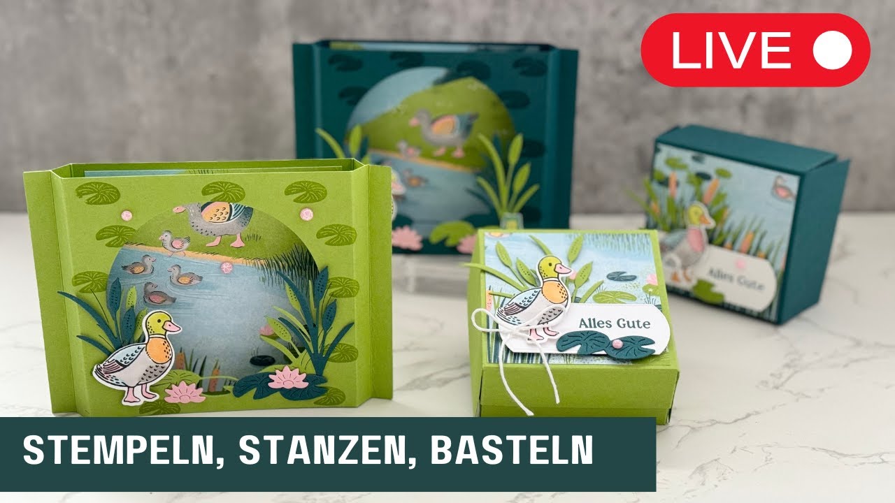 🔴Am Ententeich-POP OUT Frame Card+Geschenkbox