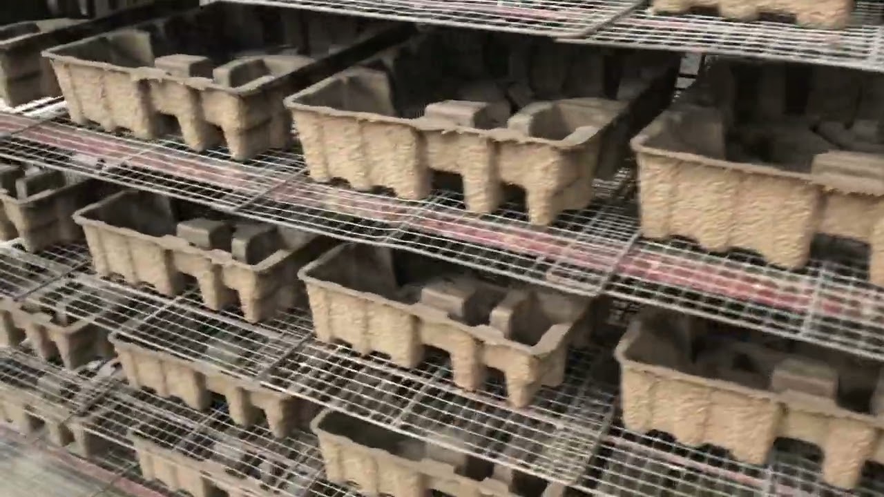 dry pressed molded pulp tray packaging