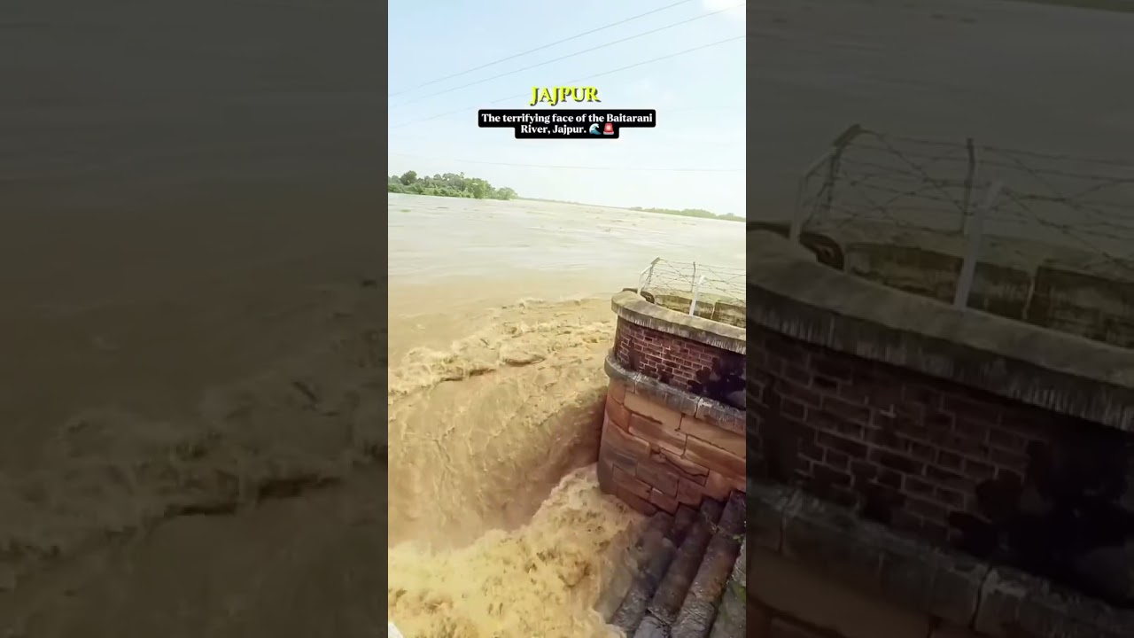 Post Flood Reality of Odisha 💔🌧️ | Life After the Flood | #shorts