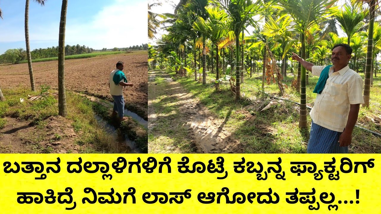 ರೈತರಿಗೂ ದುಡ್ಡು ಬೇಕು ಅಲ್ವಾ... ಗದ್ದೆಯಲ್ಲಿ ದುಡ್ಡು ಸಿಗದೆ ಇರೋದಿಕ್ಕೇನೆ ತೋಟ ಮಾಡ್ತಿರೋದು ಅದು ಅವ್ನ್ ತಪ್ಪಲ್ಲ..!