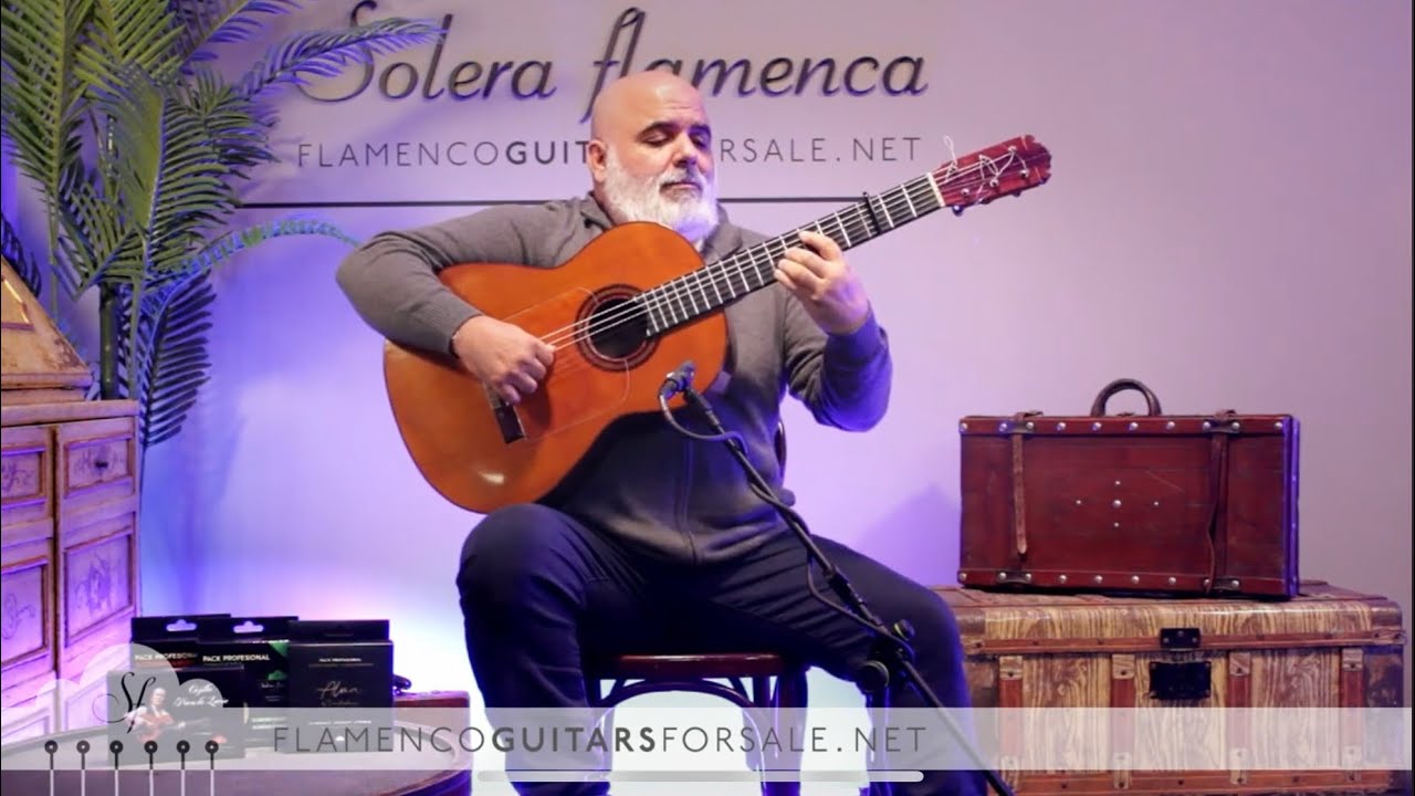 Manuel Contreras 1973 flamenco guitar for sale played by José Ignacio Franco