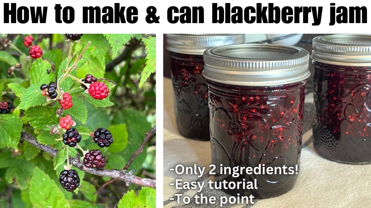 How to Make & Can Blackberry Jam: ONLY 2 INGREDIENTS! Step by step tutorial for beginner canners