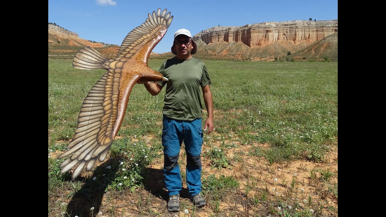 3D Printed Eagle Flight in Spain.
