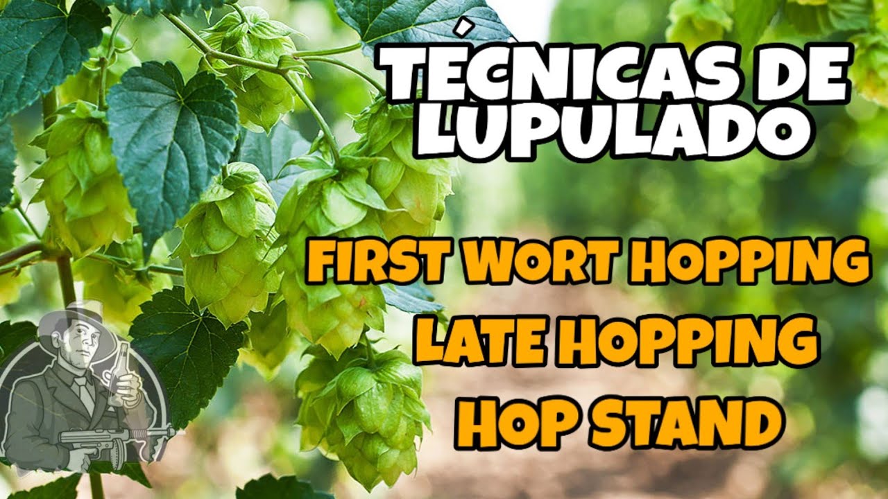 Técnicas de Lupulado |  Cerveza Artesanal | La Birra Nostra