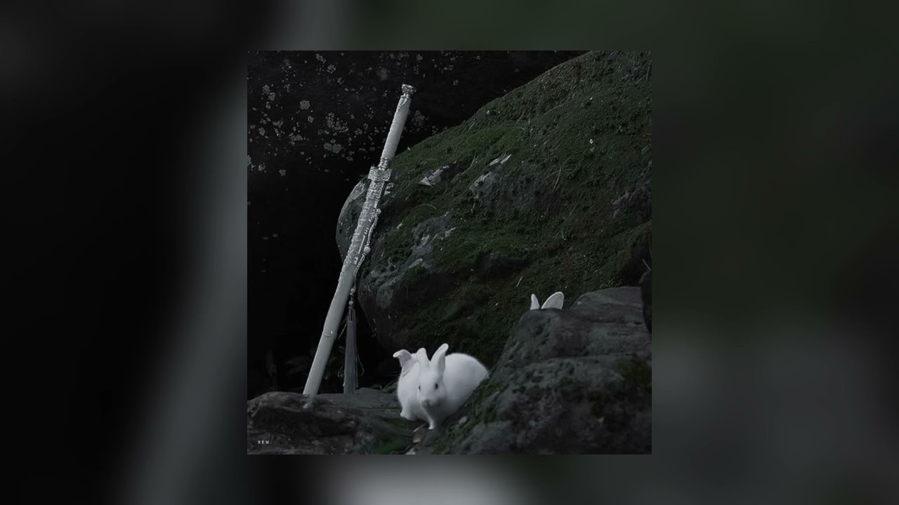 wuji (instrumental ver.) - the untamed | slowed + reverb