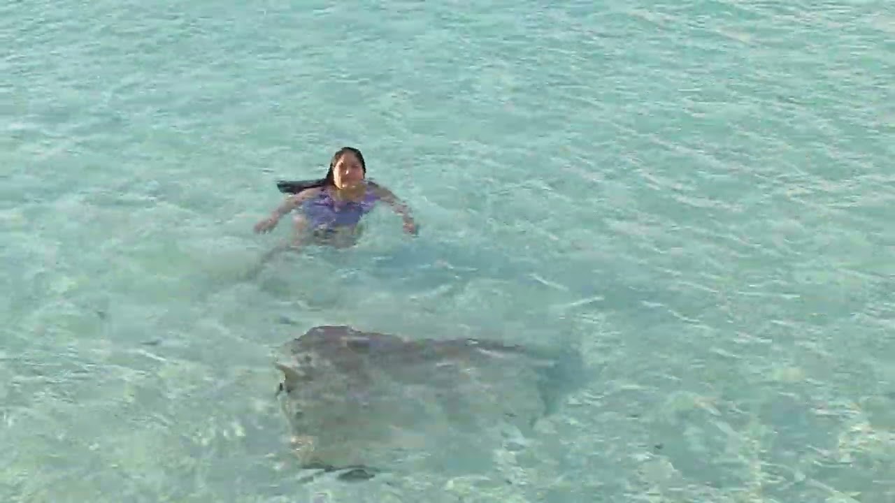 Hermosa playa forum cancun 31/12/2025