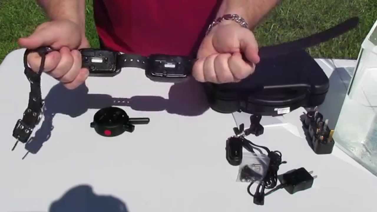 E-Collar Technologies k9 handler K-9 800ts Plus Dual Receiver Dog Trainer