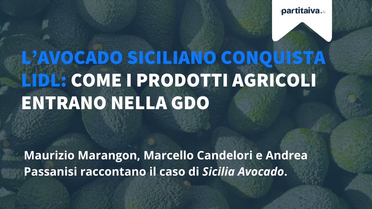 L'avocado siciliano conquista Lidl: come Sicilia Avocado è entrata nella GDO