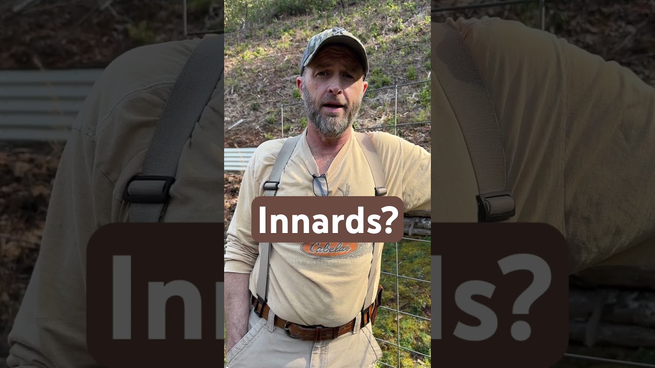 Innards = guts, entrails