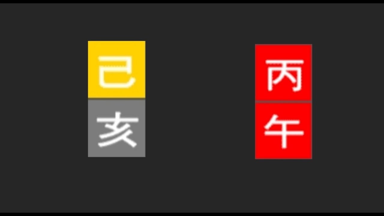 기해일주 병오년 운세