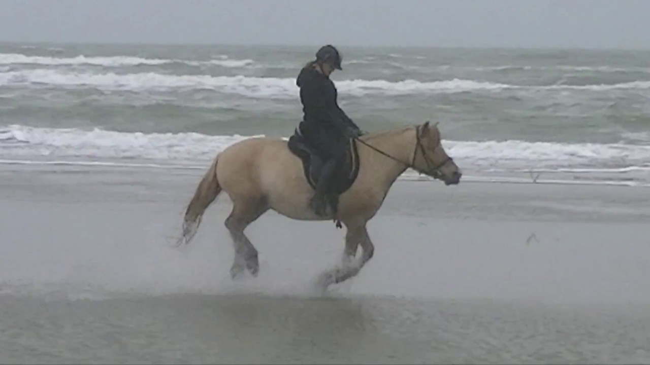 strandrit met bram en or