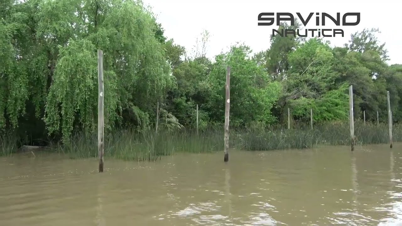 Fulminante P4 Orilla Sector Este Casas, Muelles y Orillas que vemos cuando navegamos por el Delta