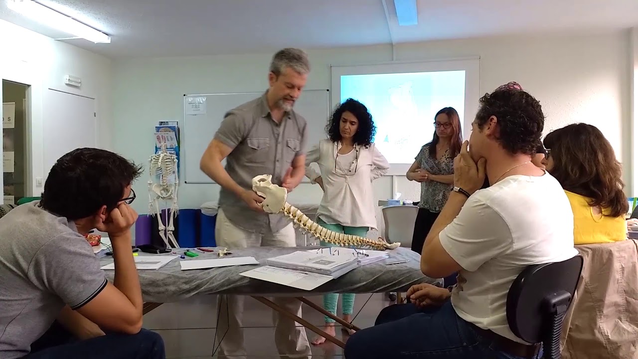 Osteopatía Craneosacral. Biomecámica de la pelvis