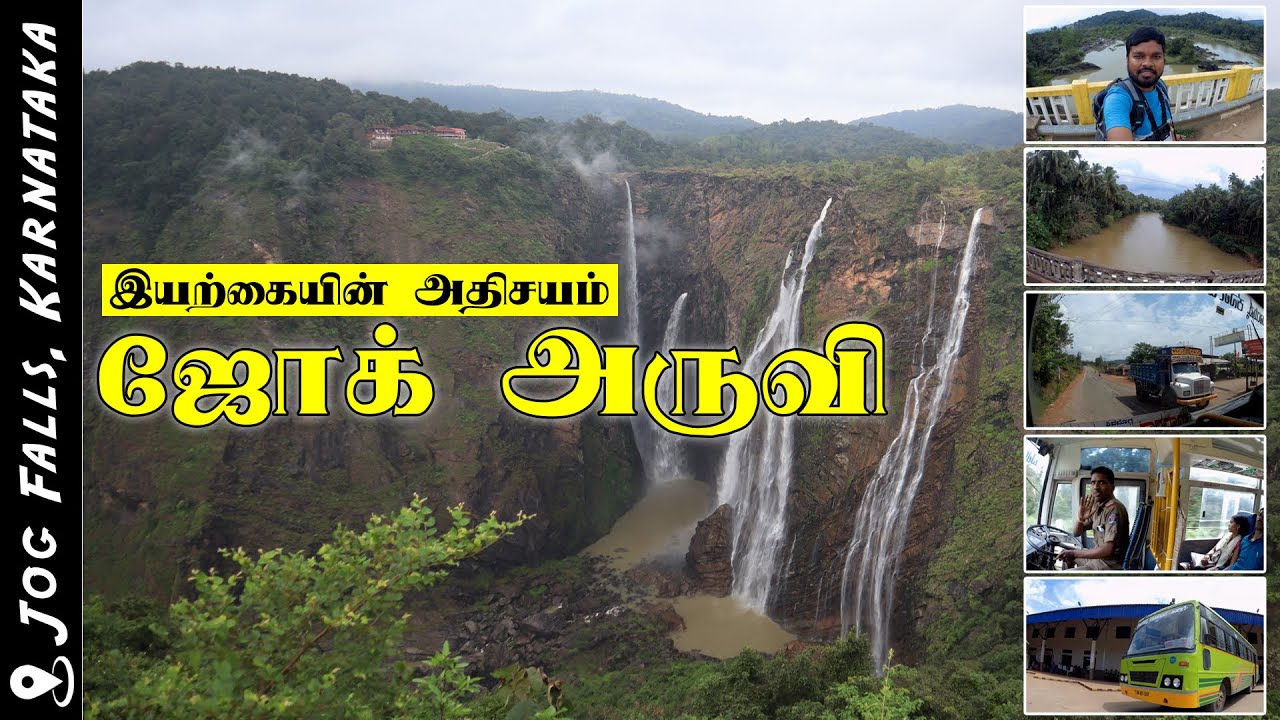 உலகப்புகழ்பெற்ற ஜோக் நீர்வீழ்ச்சி ꘡ World Famous ꘡ Jog Water Falls ꘡ Karnataka ꘡ பேருந்து மலையேற்றம்