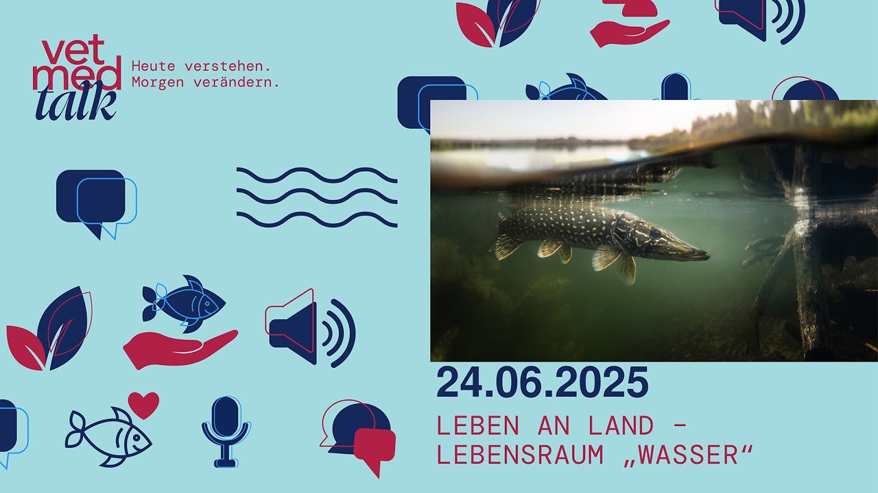 VetmedTalk: Lebensraum Süßwasser – Was, wenn's den Fischen zu heiß wird? 🐟🥵🏞️ | 24.06.2025