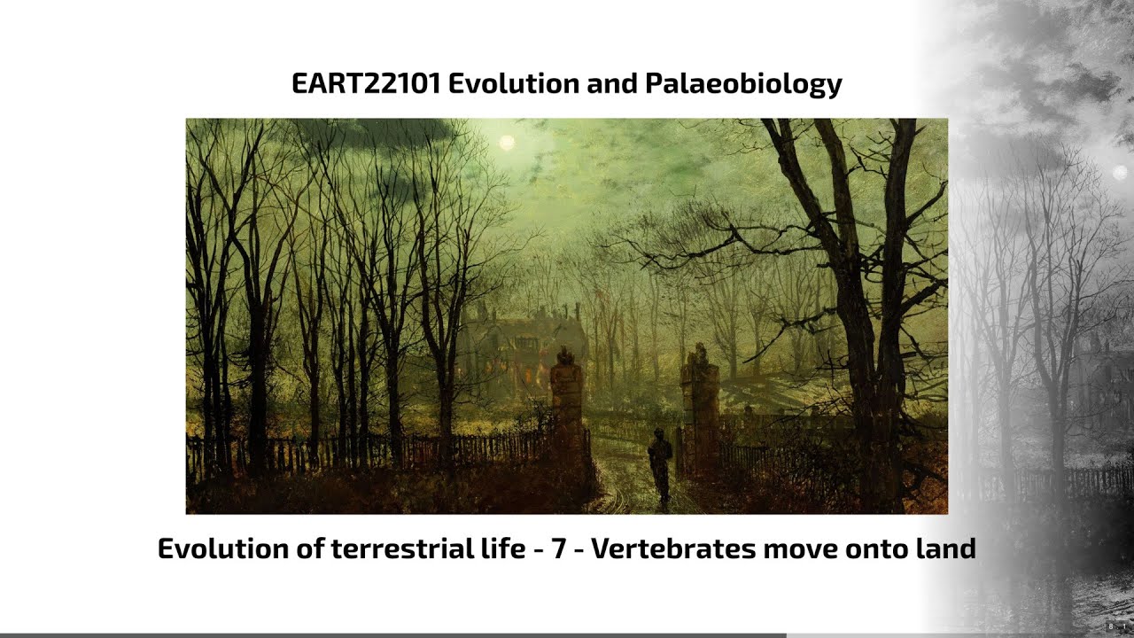 Evolution of Terrestrial Life, Video 7 - EART22101 - Palaeobiology and Evolution - 2025